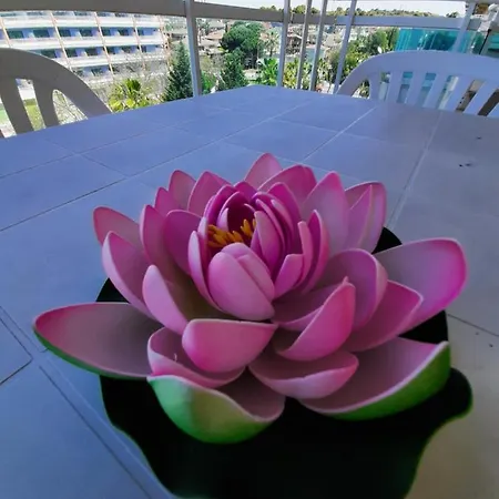 Precioso Apartamento Conjunto Larimar